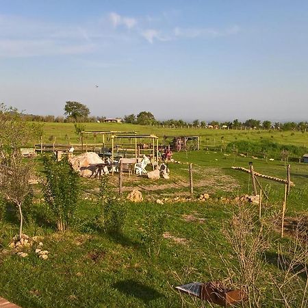 Mario'S Home Sasso  Bagian luar foto